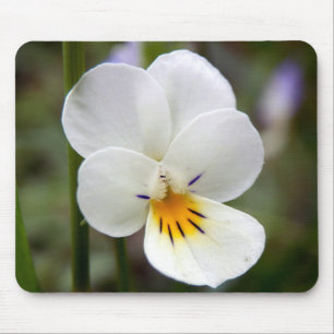 Alfombrilla De Ratón Mat de ratón Pansy salvaje