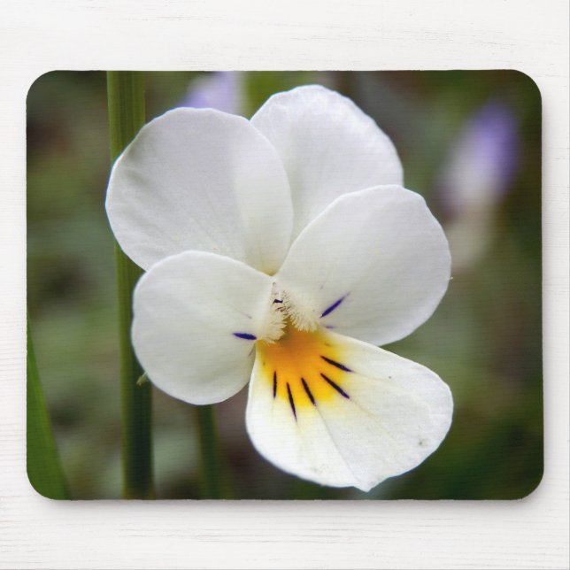 Alfombrilla De Ratón Mat de ratón Pansy salvaje (Frente)