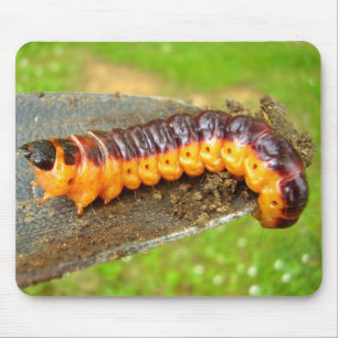 Alfombrilla De Ratón Mat del ratón de la oruga de la cabra