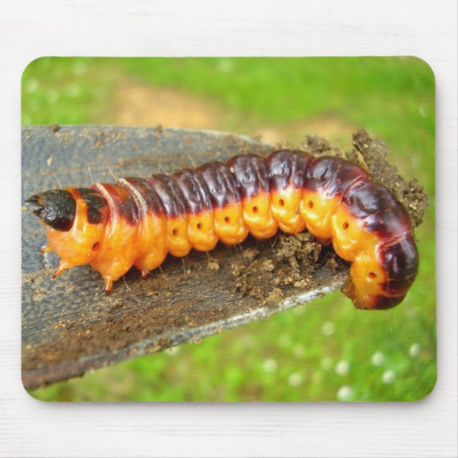 Alfombrilla De Ratón Mat del ratón de la oruga de la cabra (Frente)
