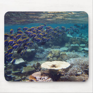 Alfombrilla De Ratón Mat del ratón - Pescado cirujano azul en polvo