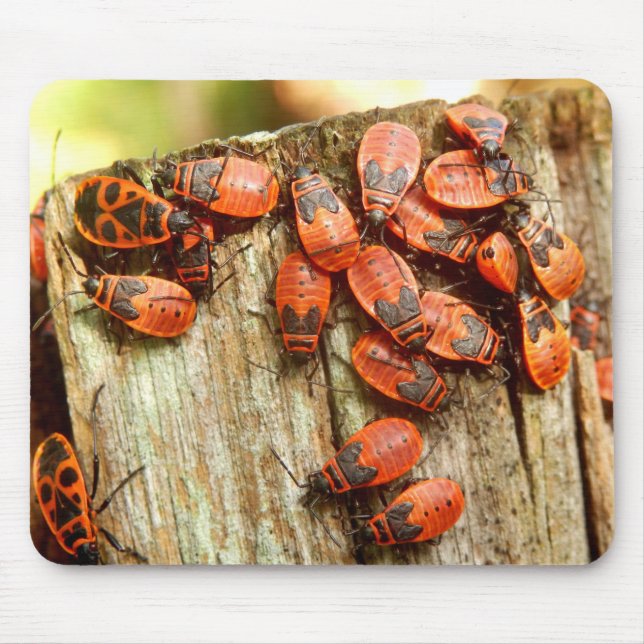 Alfombrilla De Ratón Mat del ratón sobre los bichos de fuego (Frente)