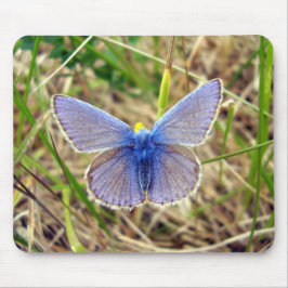 Alfombrilla De Ratón Mata de ratón de mariposa azul común