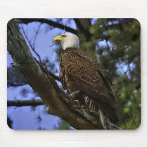 Alfombrilla De Ratón Mature Bald Eagle Gel Mouse Pad