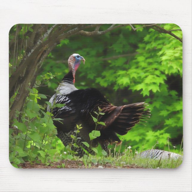 Alfombrilla De Ratón Mature Male Wile Turkey (Frente)