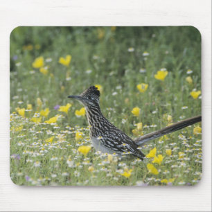 Alfombrilla De Ratón Mayor Roadrunner, Geococcyx californianus,