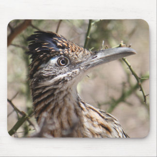 Alfombrilla De Ratón Mayor Roadrunner Mousepad