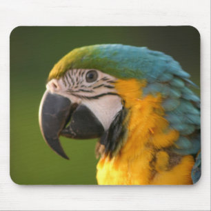 Alfombrilla De Ratón McCaw Mousepad