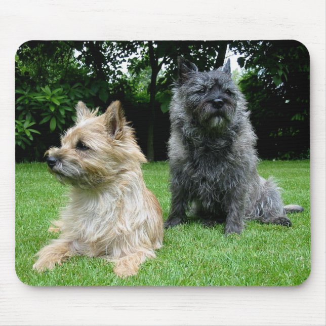 Alfombrilla De Ratón Me encanta Cairn Terrier Perro Mousepad (Frente)