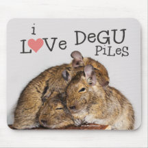 Me Encanto Degu Piles