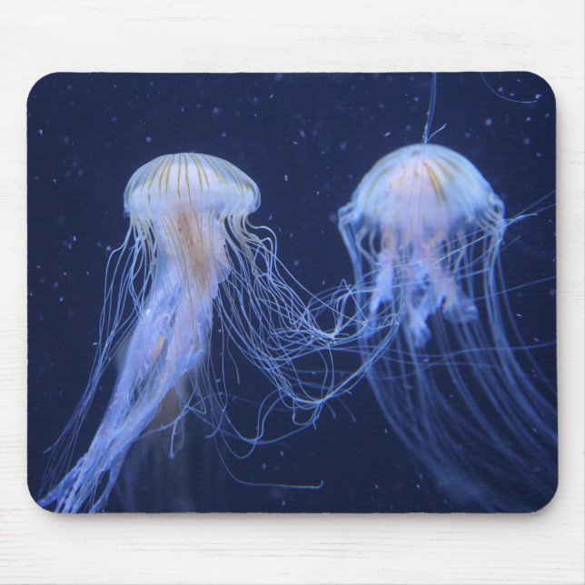 Alfombrilla De Ratón medusas, animales, subacuáticos (Frente)