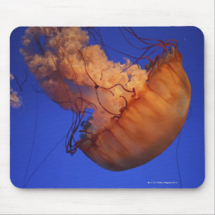 Alfombrilla De Ratón Medusas de la ortiga del mar