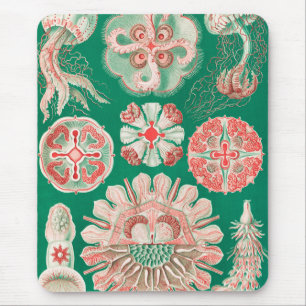 Alfombrilla De Ratón Medusas, Discomedusae por Ernst Haeckel