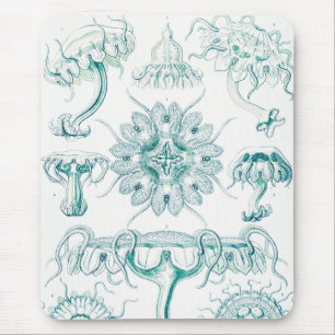 Alfombrilla De Ratón Medusas, Discomedusae por Ernst Haeckel