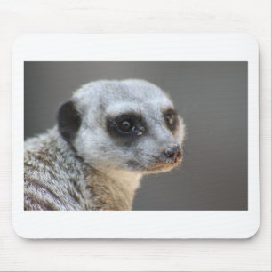 Alfombrilla De Ratón Meerkat