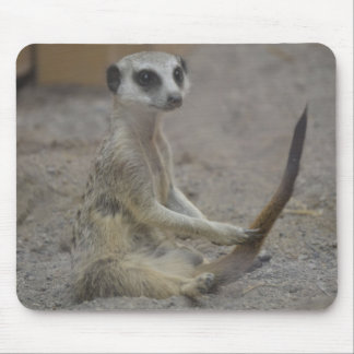 Alfombrilla De Ratón Meerkat