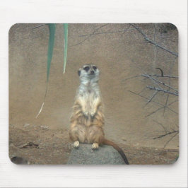 Alfombrilla De Ratón Meerkat