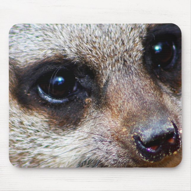 Alfombrilla De Ratón Meerkat (Frente)