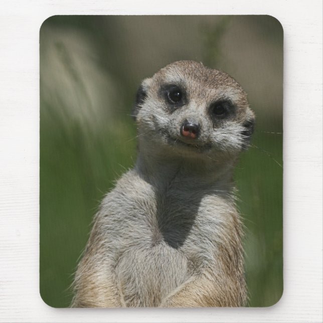 Alfombrilla De Ratón Meerkat 004 (Frente)