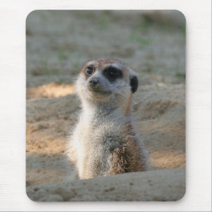 Alfombrilla De Ratón Meerkat 004