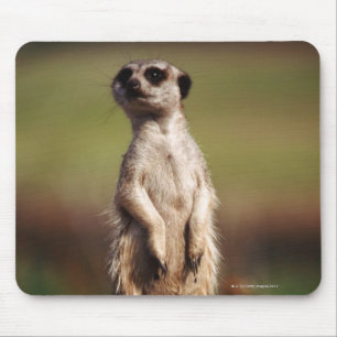 Alfombrilla De Ratón meerkat delgado-atado