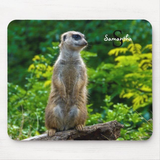 Alfombrilla De Ratón Meerkat Mouse mat (Frente)