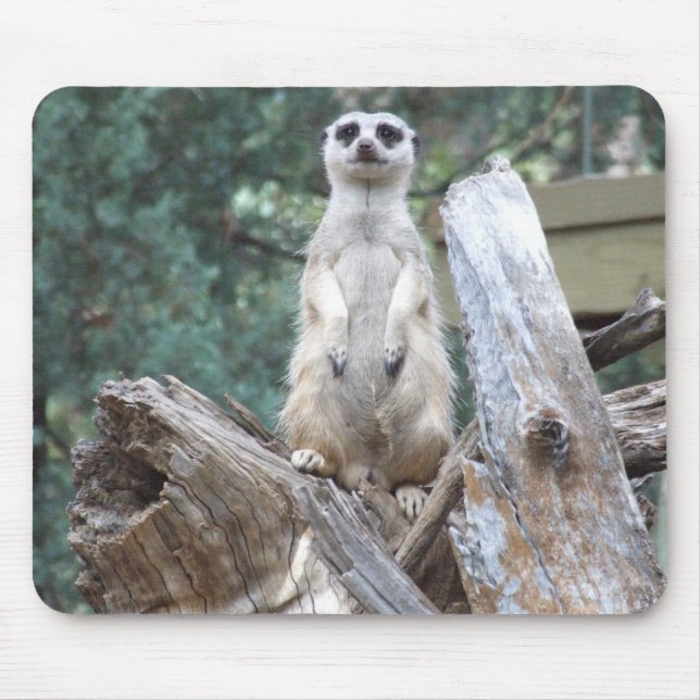 Alfombrilla De Ratón Meerkat Mousepad (Frente)