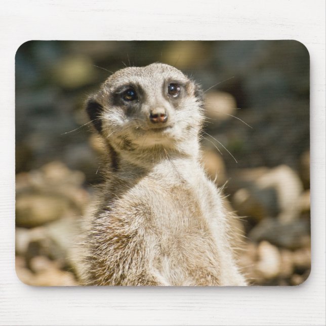Alfombrilla De Ratón Meerkat Mousepad (Frente)