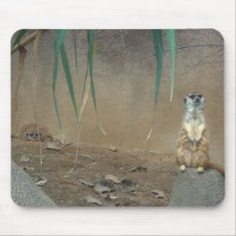 Alfombrilla De Ratón Meerkats