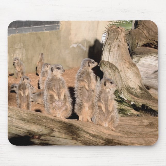 Alfombrilla De Ratón Meerkats (Frente)