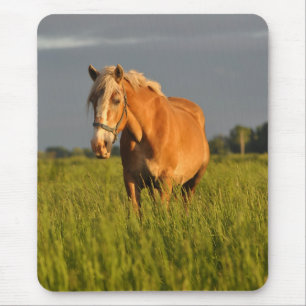 Alfombrilla De Ratón Megohmio en el pasto