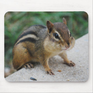 Alfombrilla De Ratón Mejillas del Chipmunk