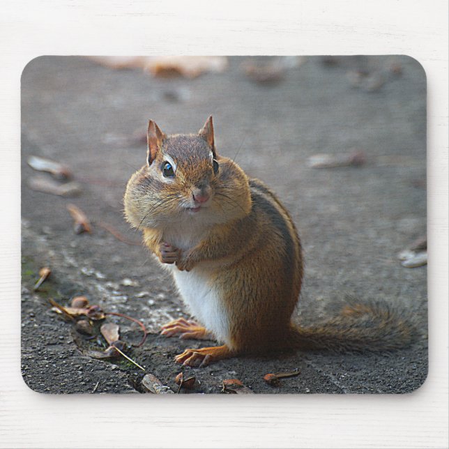 Alfombrilla De Ratón Mejillas gordas Mousepad (Frente)