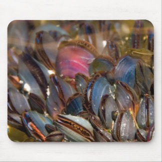 Alfombrilla De Ratón Mejillones debajo del océano