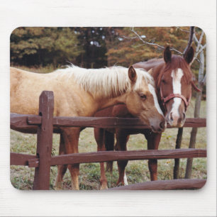 Alfombrilla De Ratón Mejores amigos