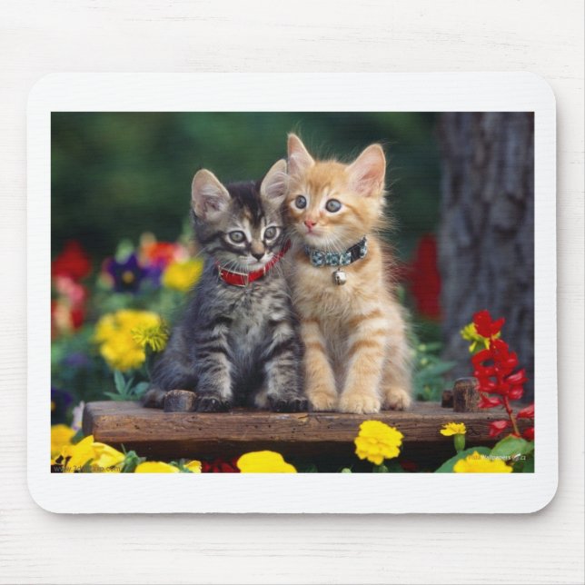 Alfombrilla De Ratón Mejores amigos (Frente)