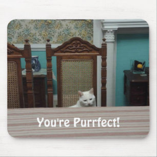 Alfombrilla De Ratón Mensaje de gato: "¡Eres perfecto!"