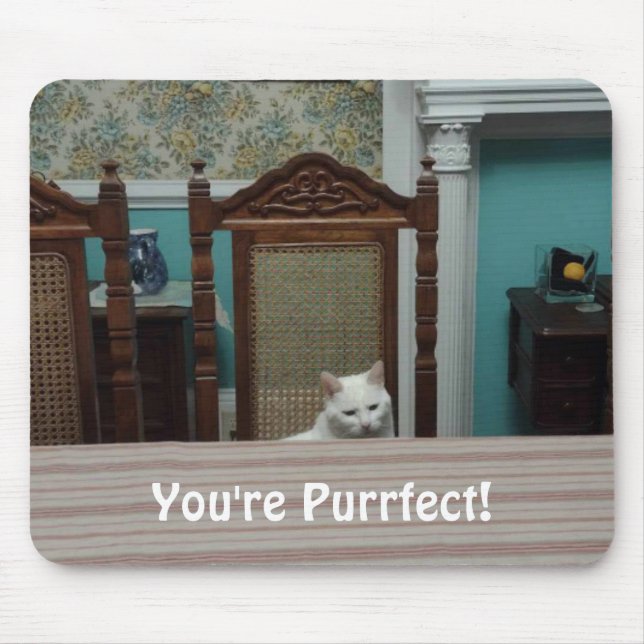 Alfombrilla De Ratón Mensaje de gato: "¡Eres perfecto!" (Frente)