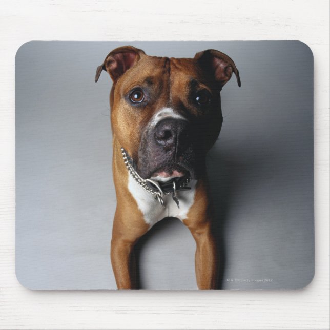 Alfombrilla De Ratón Mentira de Pit Bull Terriing (Frente)