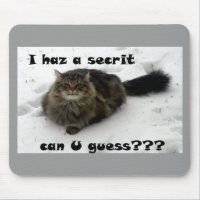 Menudo Maine Coon en la nieve