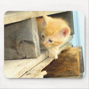 Alfombrilla De Ratón Meow Cats 1 MousePad
