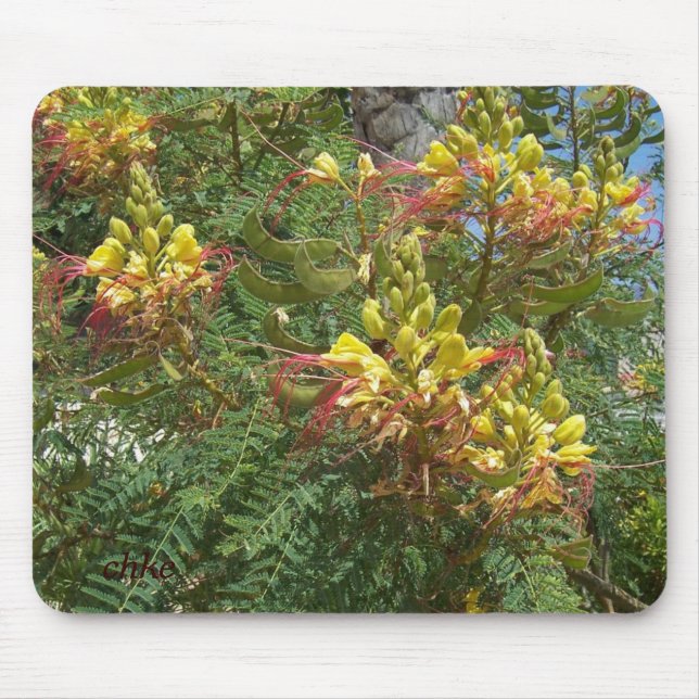 Alfombrilla De Ratón Merak (Frente)