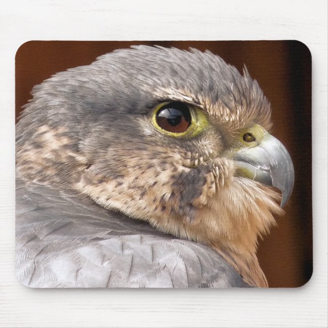ALFOMBRILLA DE RATÓN MERLIN FALCON BIRD DE PRESA (Frente)