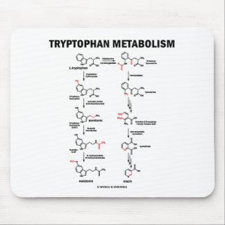 Alfombrilla De Ratón Metabolismo del triptófano (química)