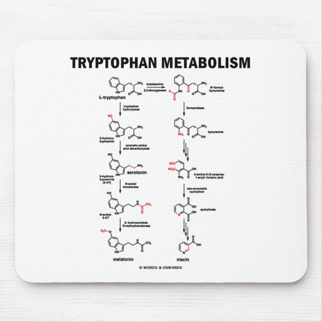Alfombrilla De Ratón Metabolismo del triptófano (química) (Frente)