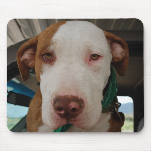 Alfombrilla De Ratón Mezcla Mousepad del pitbull