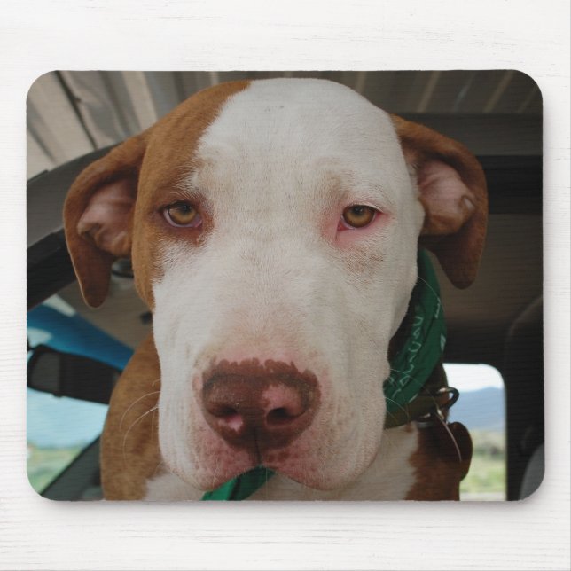 Alfombrilla De Ratón Mezcla Mousepad del pitbull (Frente)