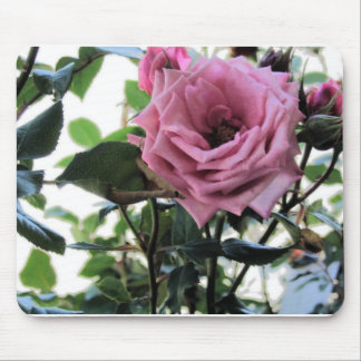Alfombrilla De Ratón Mi color de rosa