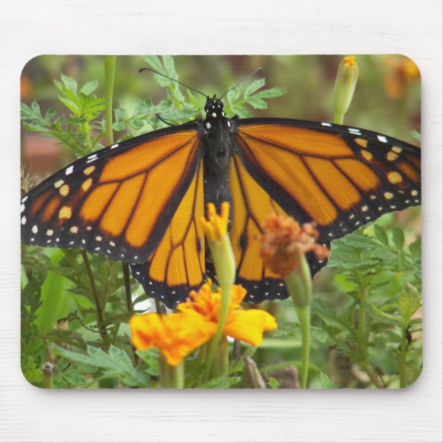 Alfombrilla De Ratón Mi monarca Butterfly mousepad (Frente)