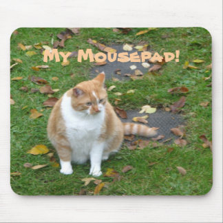 Alfombrilla De Ratón Mi Mousepad